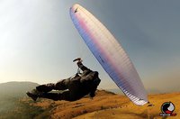 326487 10150517601712760 594672759 8677127 554675190 o.speedflying Thumb Paragliding in Indien, Kamshet,  mit Temple Pilots