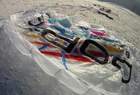 Gopro Speedwing branding goprobranding.speedflying Thumb Gopro Speedwing branding