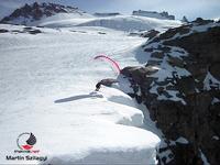 Speedflying the Gran Paradiso gran paradiso1.speedflying Thumb Speedflying the Gran Paradiso