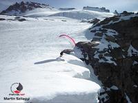 gran paradiso1.speedflying Thumb Speedflying the Gran Paradiso